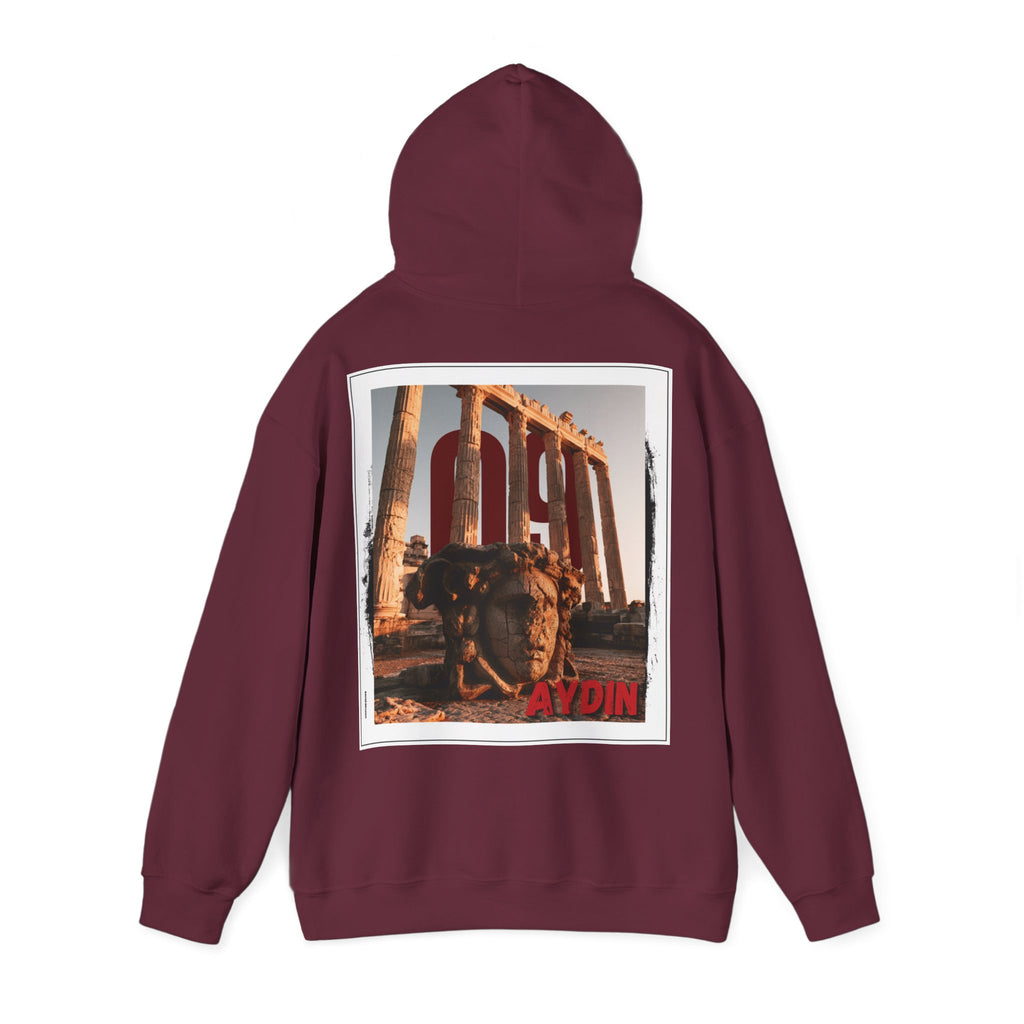 PLKT STUDIOS – AYDIN 09 Hoodie